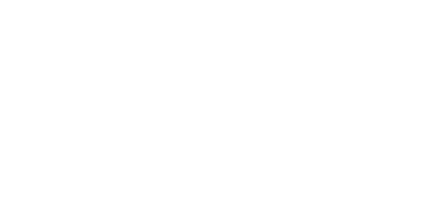 BSG Immo Invest AG
